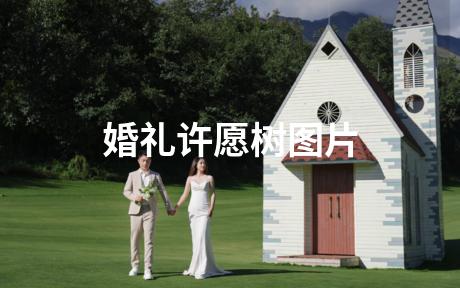 婚礼许愿树图片