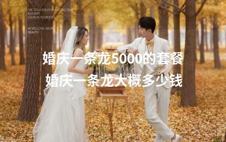 婚庆一条龙5000的套餐 婚庆一条龙大概多少钱