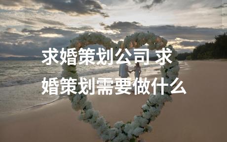 求婚策划公司 求婚策划需要做什么