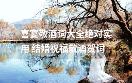 喜宴敬酒词大全绝对实用 结婚祝福敬酒贺词