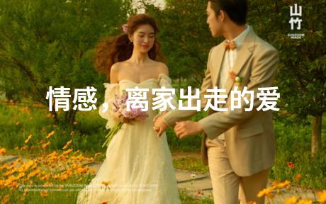 情感，离家出走的爱