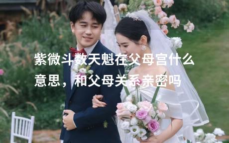 紫微斗数天魁在父母宫什么意思，和父母关系亲密吗