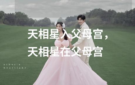 天相星入父母宫，天相星在父母宫