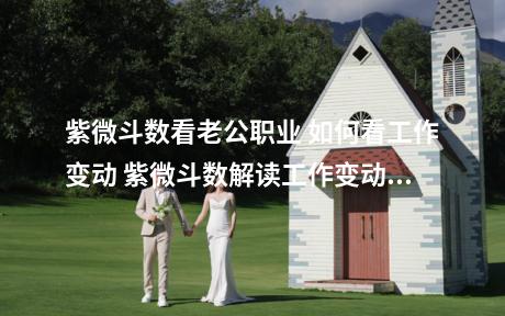 紫微斗数看老公职业 如何看工作变动 紫微斗数解读工作变动：若智多星天机位于夫妻宫且状态旺盛，女命之夫往往天生敏感、体型苗条，性格细致、喜静、崇尚传统，多为公职人员而非公务员，工作稳定，晋升机会较多