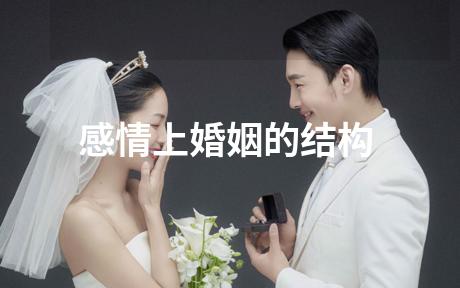 感情上婚姻的结构