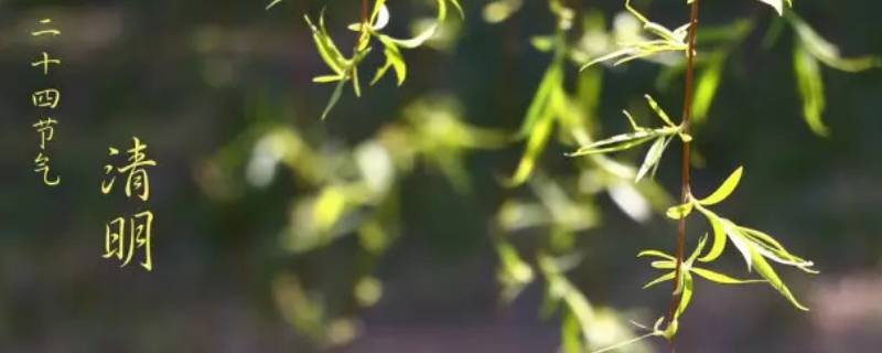 婚礼文案浪漫美句(结婚唯美文案)